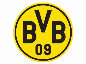 开云体育官网-欧冠抽签-多特对手出炉